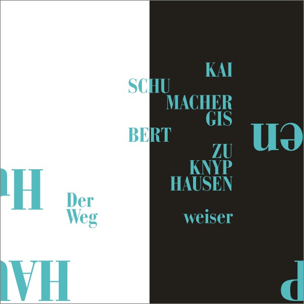Gisbert zu Knyphausen &amp; Kai Schumacher - Der Wegweiser - Vinyl 7&quot;